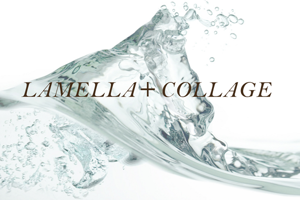 LAMELLA+COLLAGE ＜ラメラ+コラージュ＞